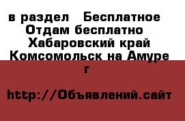  в раздел : Бесплатное » Отдам бесплатно . Хабаровский край,Комсомольск-на-Амуре г.